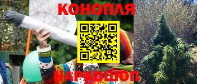 прущие грибы Лесосибирск