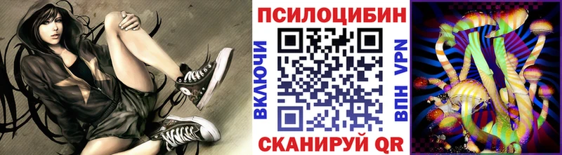 МЕГА ТОР Копейск Псилоцибиновые грибы мухоморы