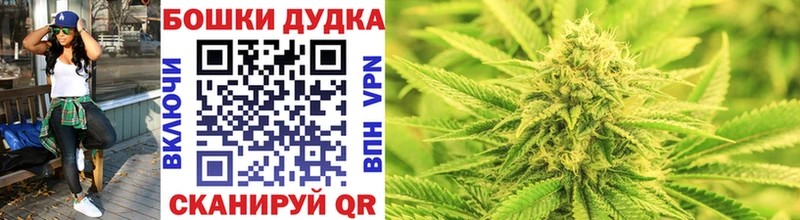 Бошки Шишки сатива  купить наркоту  Копейск 